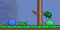 A variety of colourful slimes from Terraria, each a round blob with simple eyes, ranging from green to blue to purple